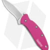 Kershaw Chive Assisted Opening Knife Pink (1.94" Bead Blast) 1600PINK 2 Kershaw Chive Assisted Opening Knife Pink (1.94" Bead Blast) 1600PINK -Kershaw Store Kershaw Chive Assited Opening Knife Pink 1in 94cm Beadblast 1600 Pink BHQ 2218 td