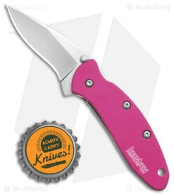 Kershaw Chive Assisted Opening Knife Pink (1.94" Bead Blast) 1600PINK -Kershaw Store Kershaw Chive Assited Opening Knife Pink 1in 94cm Beadblast 1600 Pink BHQ 2218 td size