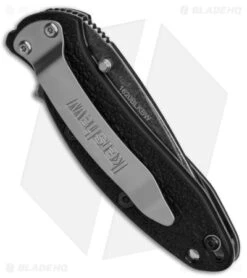 Kershaw Scallion Assisted Opening Knife Black (2.25" Blackwash) -Kershaw Store Kershaw Scallion LL AO Blackwash BHQ 154169 td side