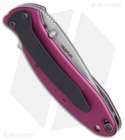 Kershaw Scallion Assisted Opening Knife Purple (2.25" Bead Blast) 1620PUR -Kershaw Store Kershaw Scallion purple bb BHQ 14804 er side