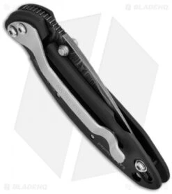 Kershaw Chive Assisted Opening Knife Black (1.94" Damascus) 1600DAMBK -Kershaw Store kershaw black damascus plain 1600damckt chive side