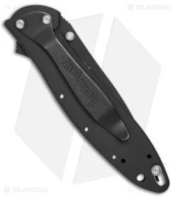 Kershaw Leek Assisted Opening Knife (3" Black) 1660CKT -Kershaw Store kershaw leek 1660CKT back bhq 0021 jr