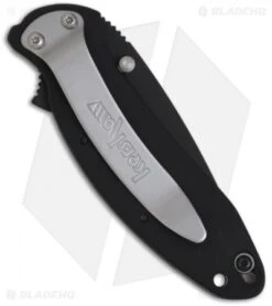 Kershaw Scallion Assisted Opening Knife Black (2.25" Black) 1620ALBLK -Kershaw Store kershaw scallion 1620 al blk back